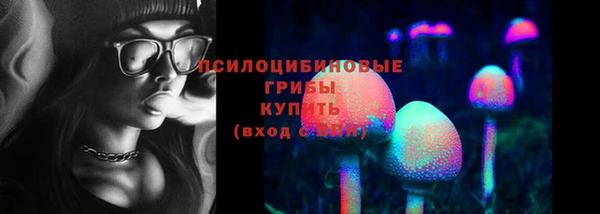 2c-b Алзамай