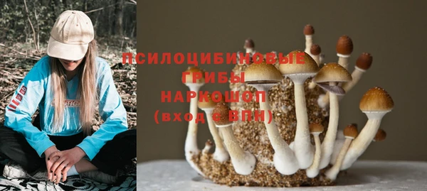apvp Алексин